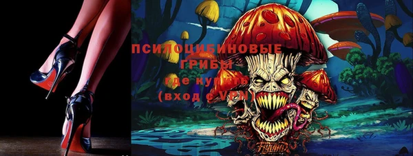 спиды Михайловск
